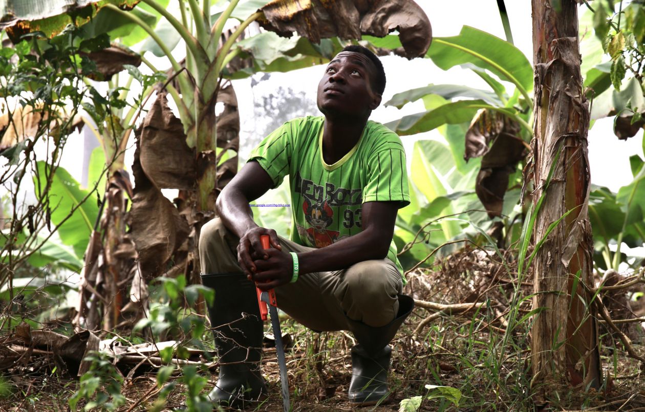 Callebaut Cocoa Horizons Foundation Cacao Artisanalen