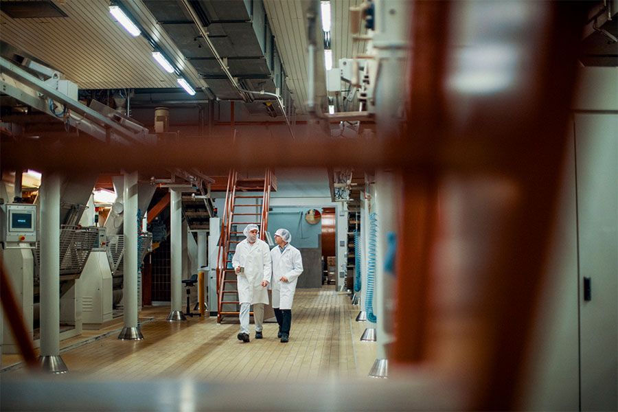 From bean to bar in Belgium - Callebaut factory process