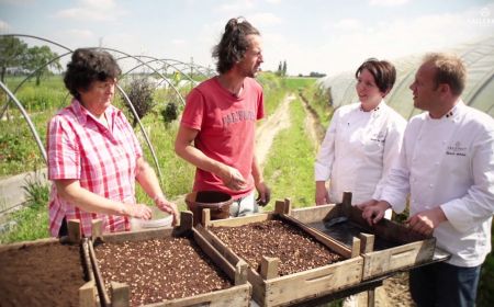 Embedded thumbnail for Tomorrowland - Op zoek naar het perfecte ingrediënt in Flanders Fields